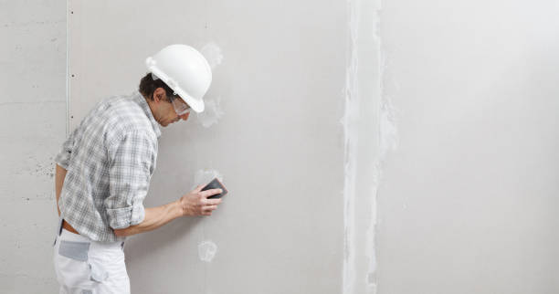 Reliable Middleton, WI Mold Removal Solutions