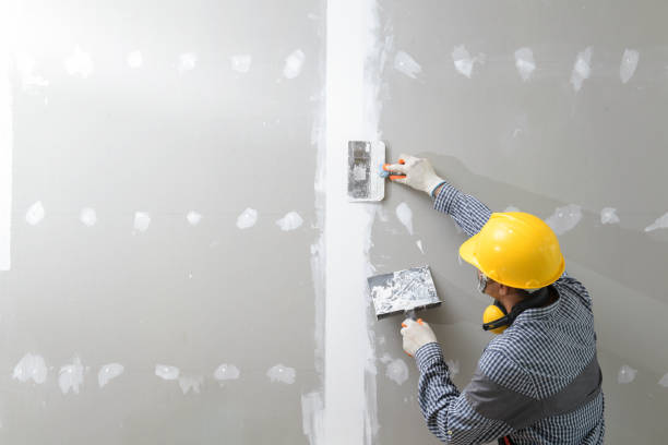 Best Post-Remediation Verification Testing  in Middleton, WI