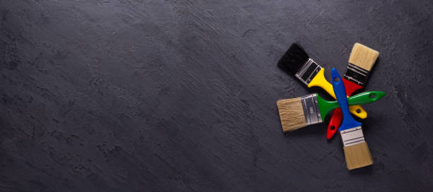 Best Black Mold Removal  in Middleton, WI