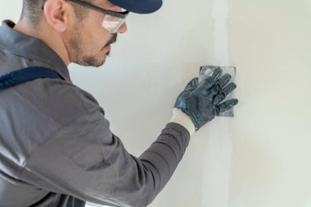 Best Mold Documentation for Insurance Claims  in Middleton, WI