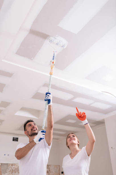 Best Mold Removal for HVAC Installations  in Middleton, WI