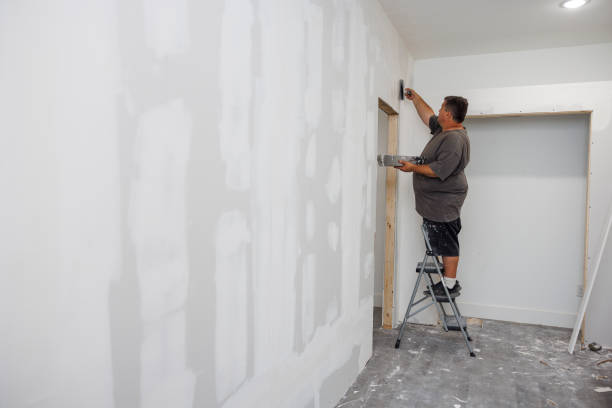 Best Mold-Related Health Consultation  in Middleton, WI