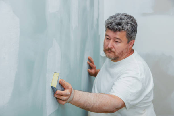 Best Asbestos and Lead Testing During Mold Inspection  in Middleton, WI