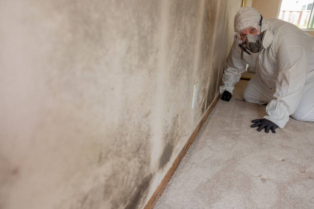 Best Asbestos and Lead Testing During Mold Inspection  in Middleton, WI