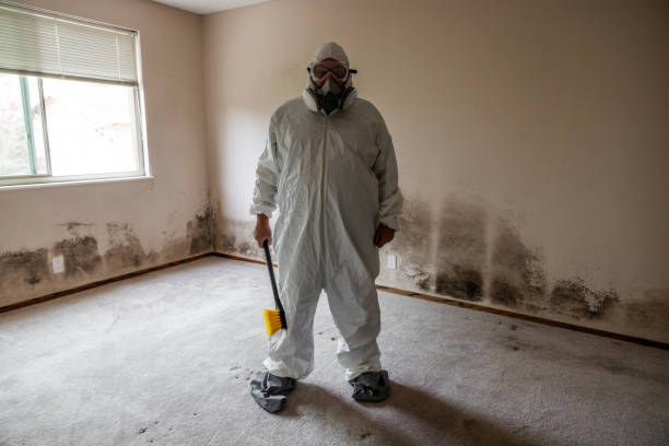 Best Real Estate Mold Inspection  in Middleton, WI
