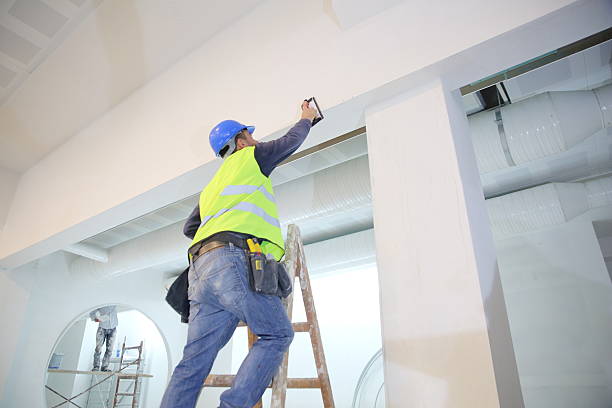 Best Mold Odor Removal Services  in Middleton, WI
